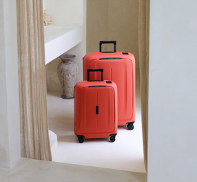Photo 49 de Samsonite