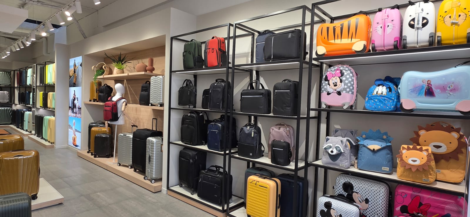 Foto 3 de Samsonite