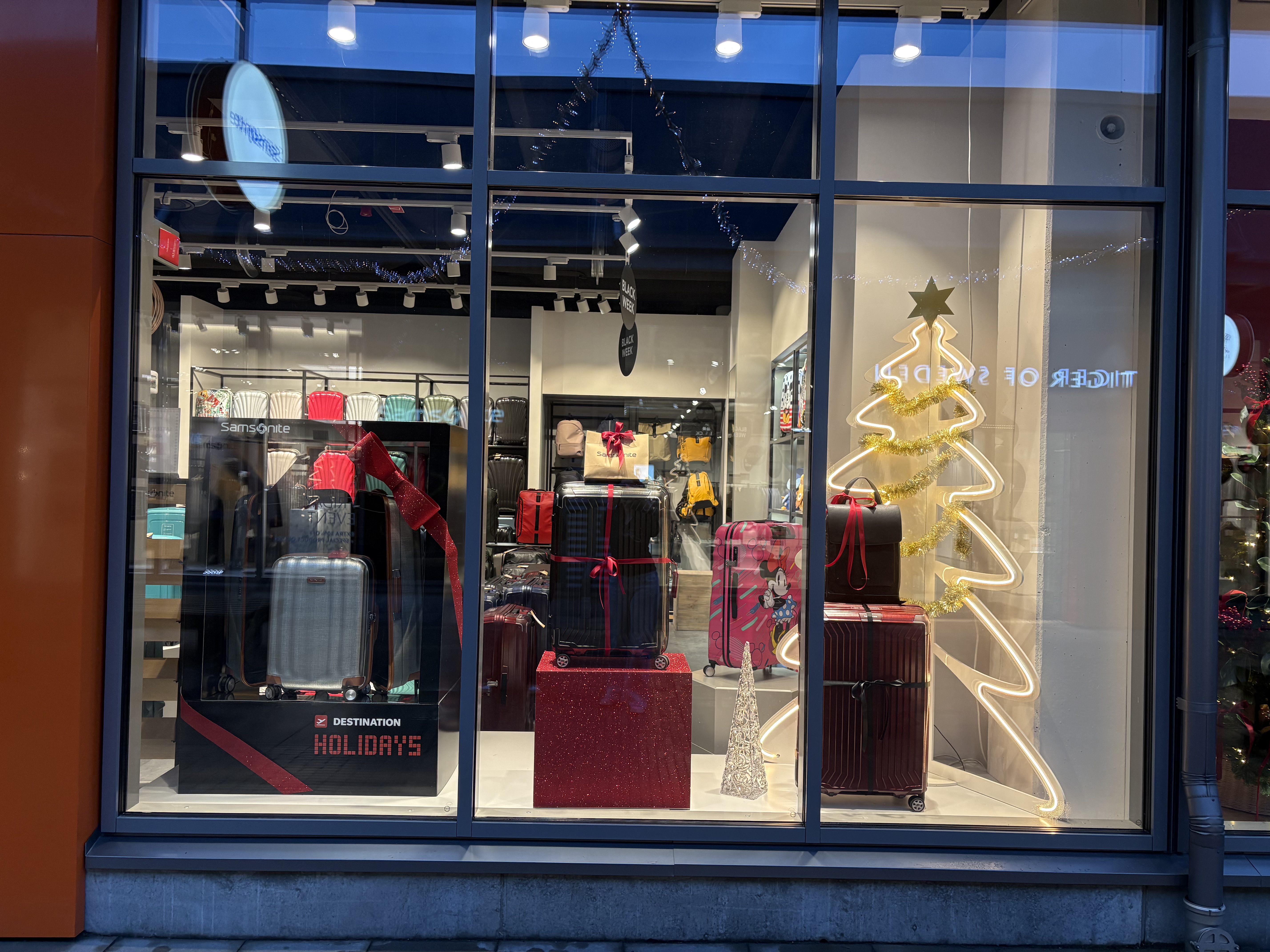 Foto 6 di Samsonite