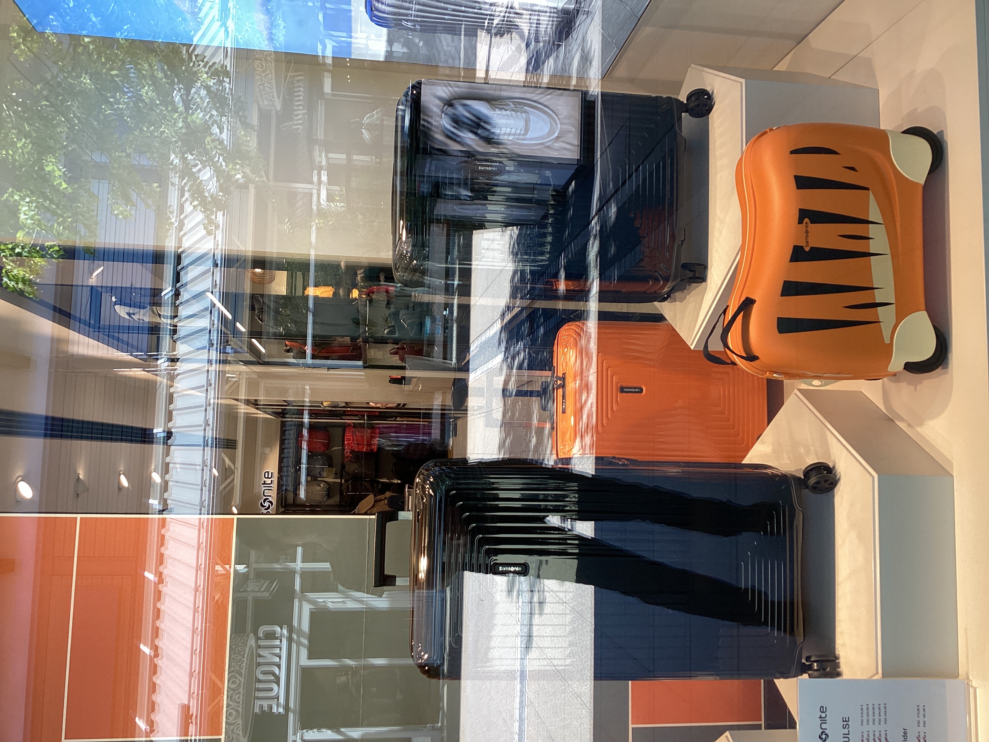 Foto 4 de Samsonite