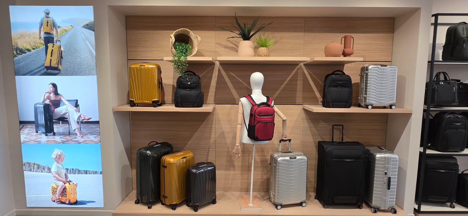 Foto 6 de Samsonite
