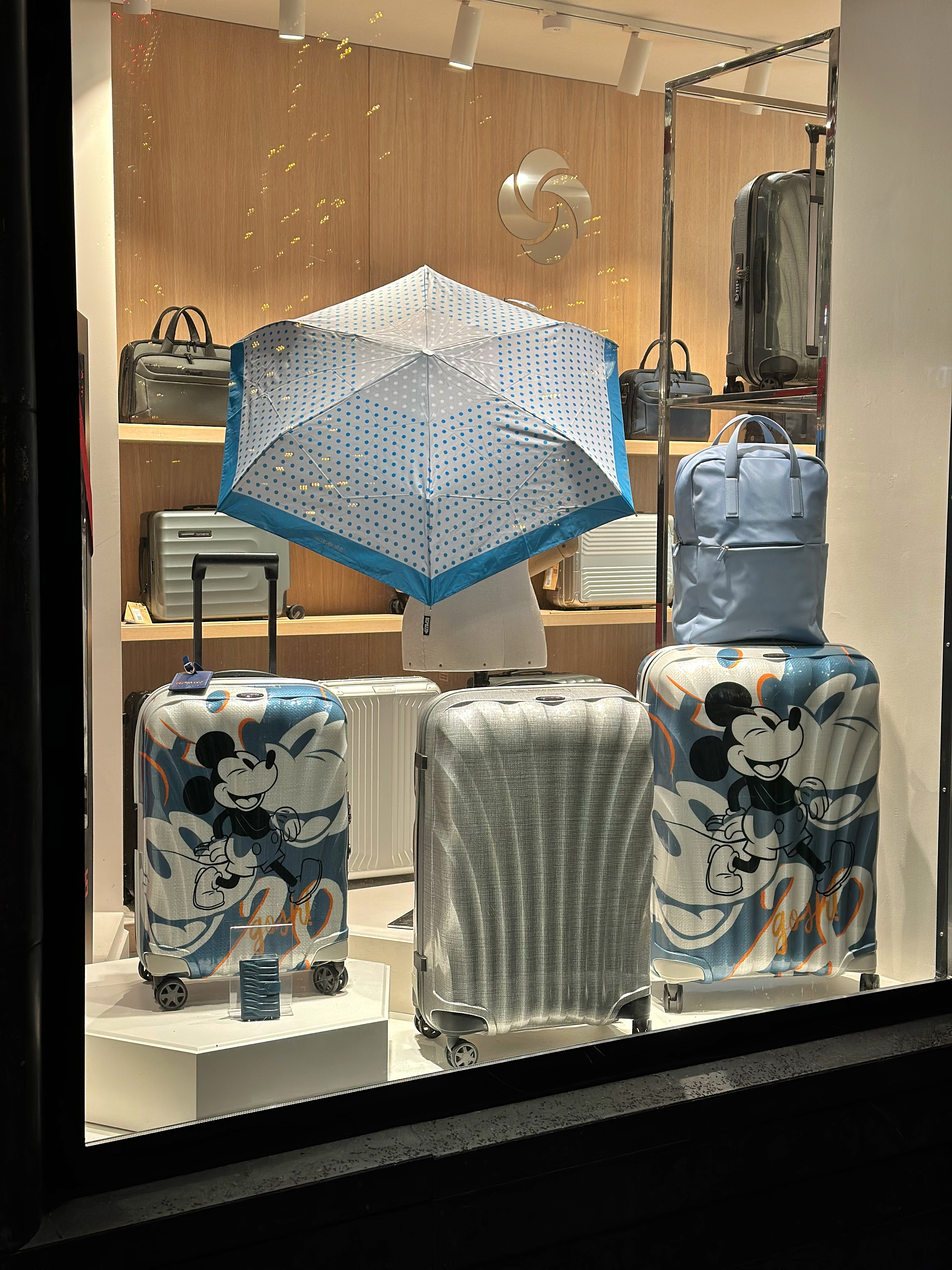 Photo 24 de Samsonite
