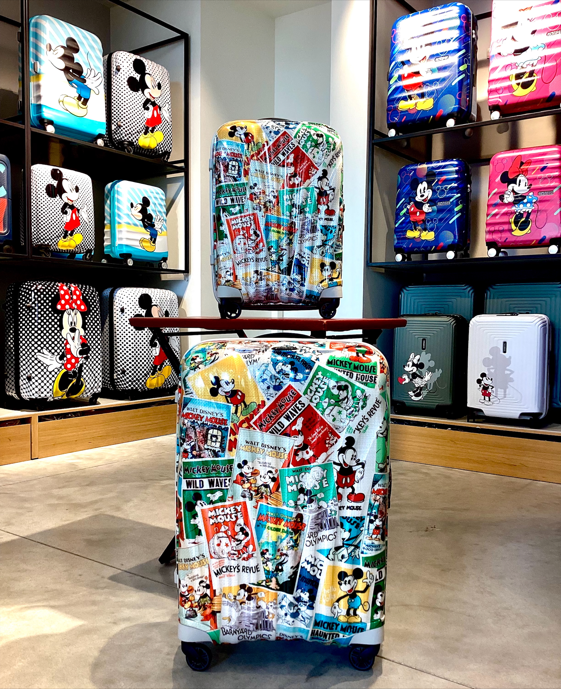 Foto 14 di Samsonite