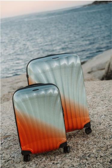 Photo 75 de Samsonite