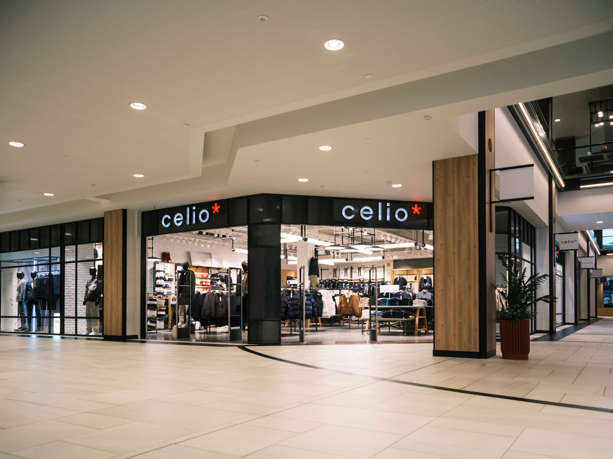Foto 3 di celio