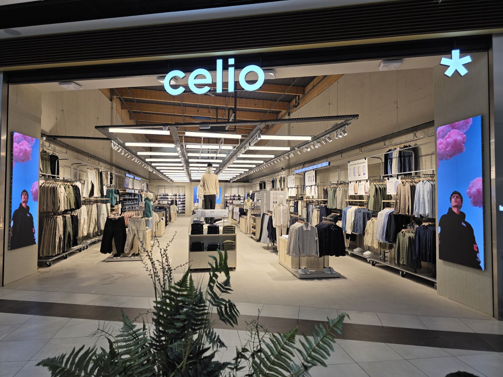 Foto 5 di celio