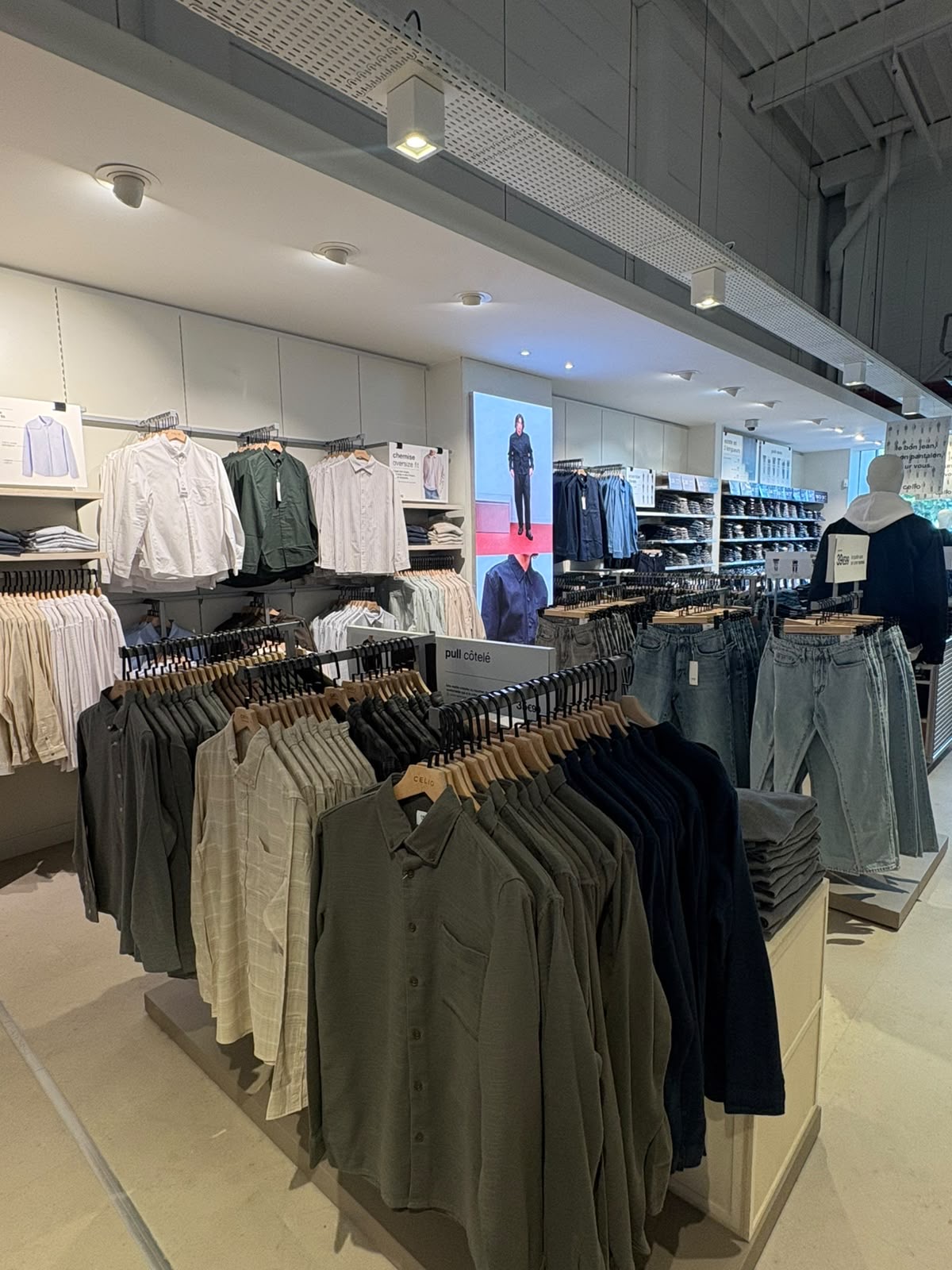 Foto 4 di celio
