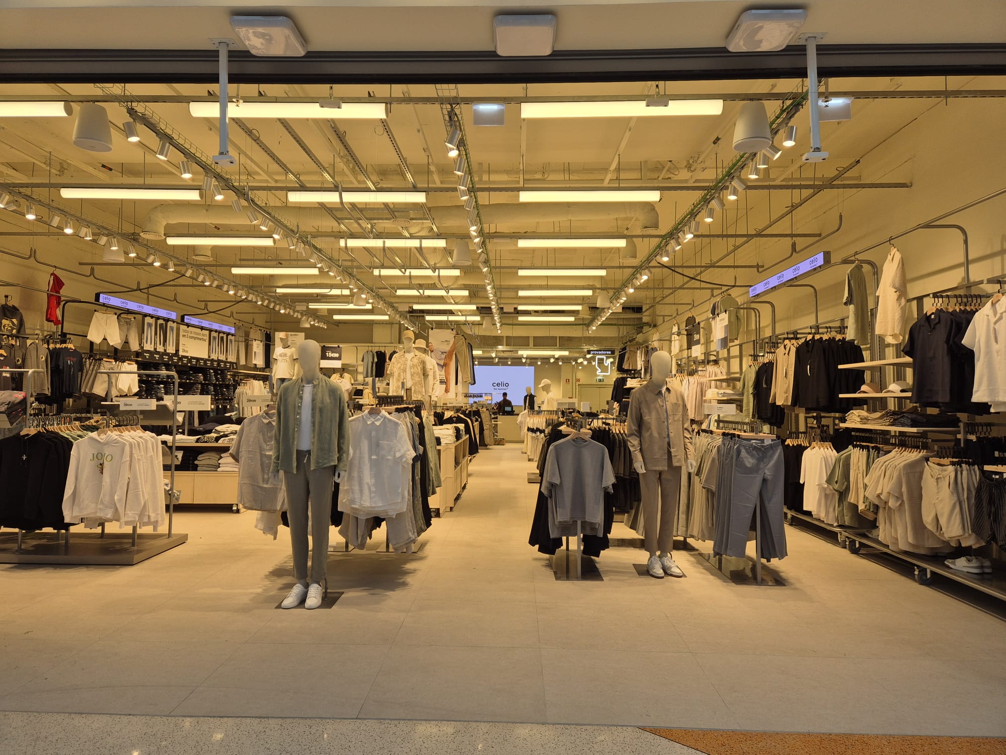 Foto 5 di celio