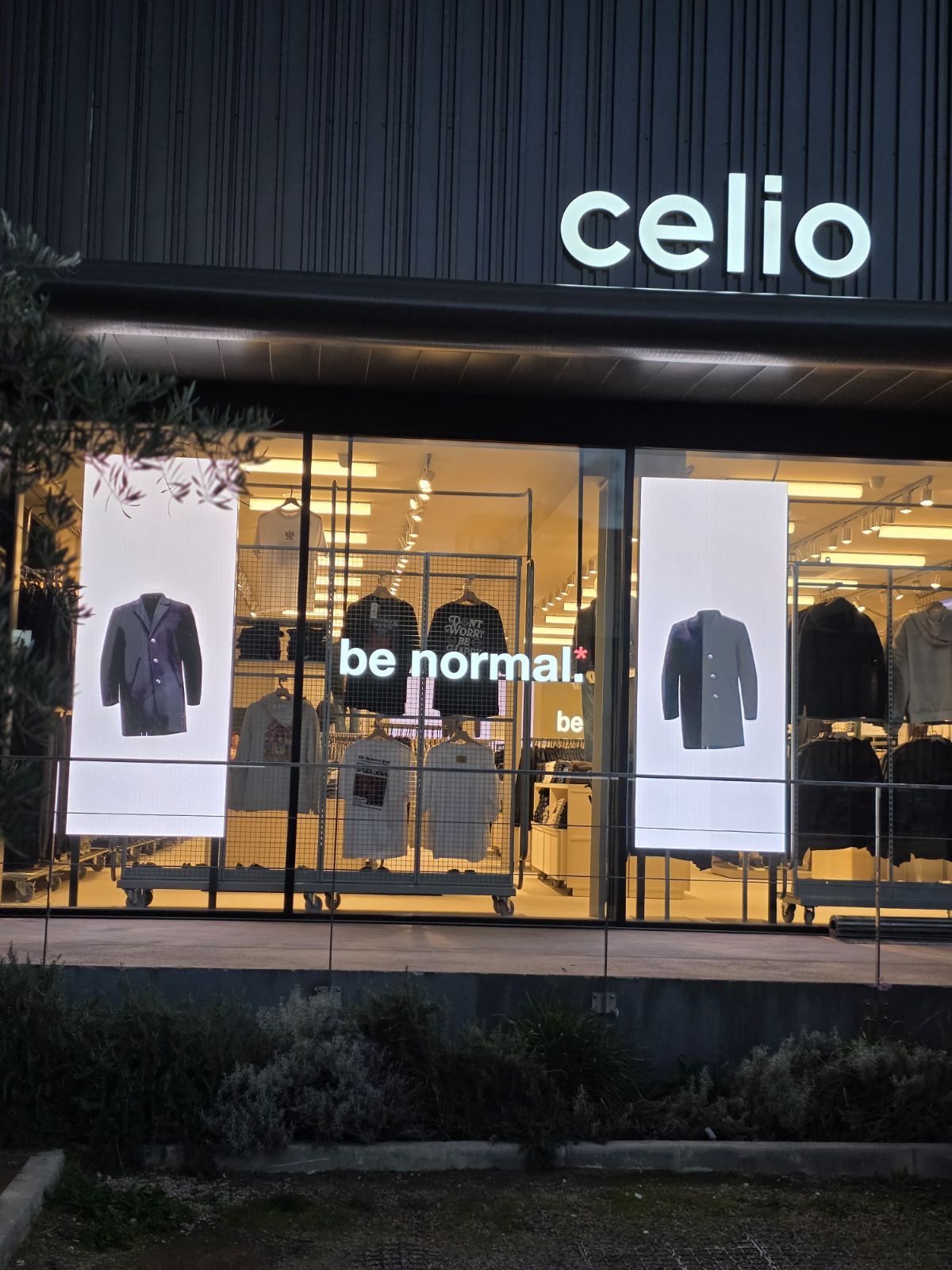 Foto 4 di celio