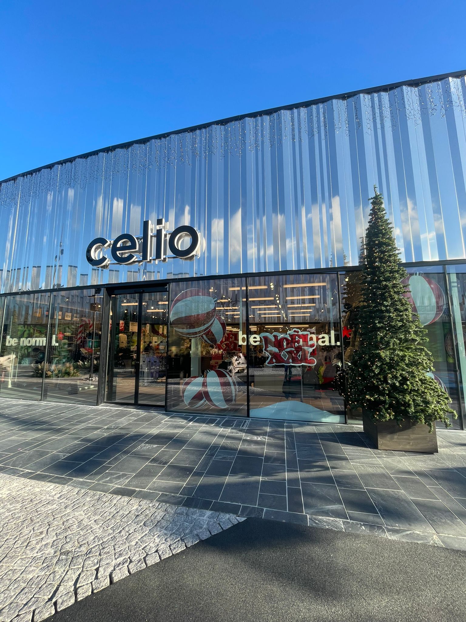 Foto 6 de celio