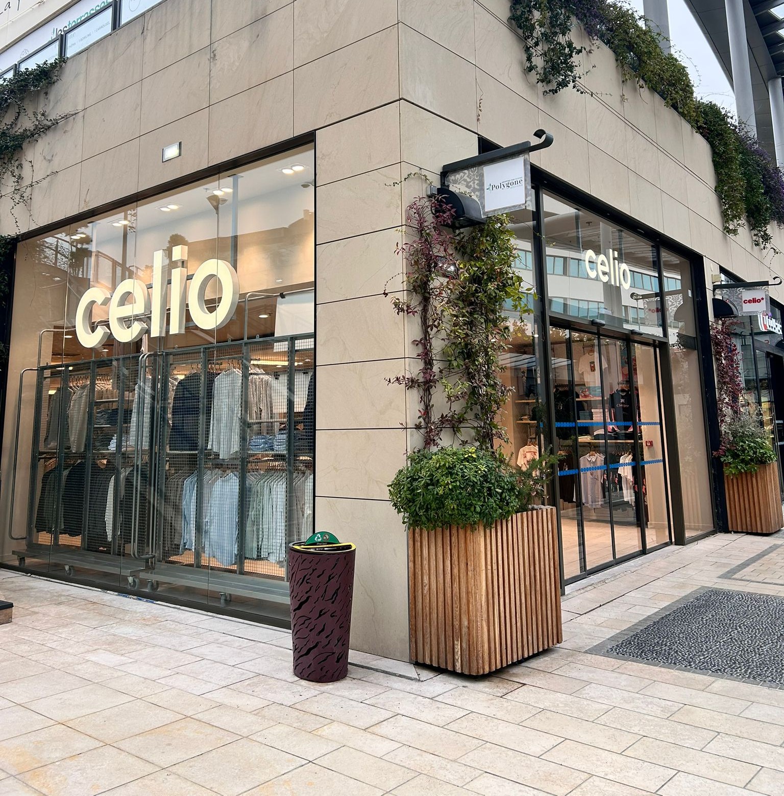 Foto 6 di celio