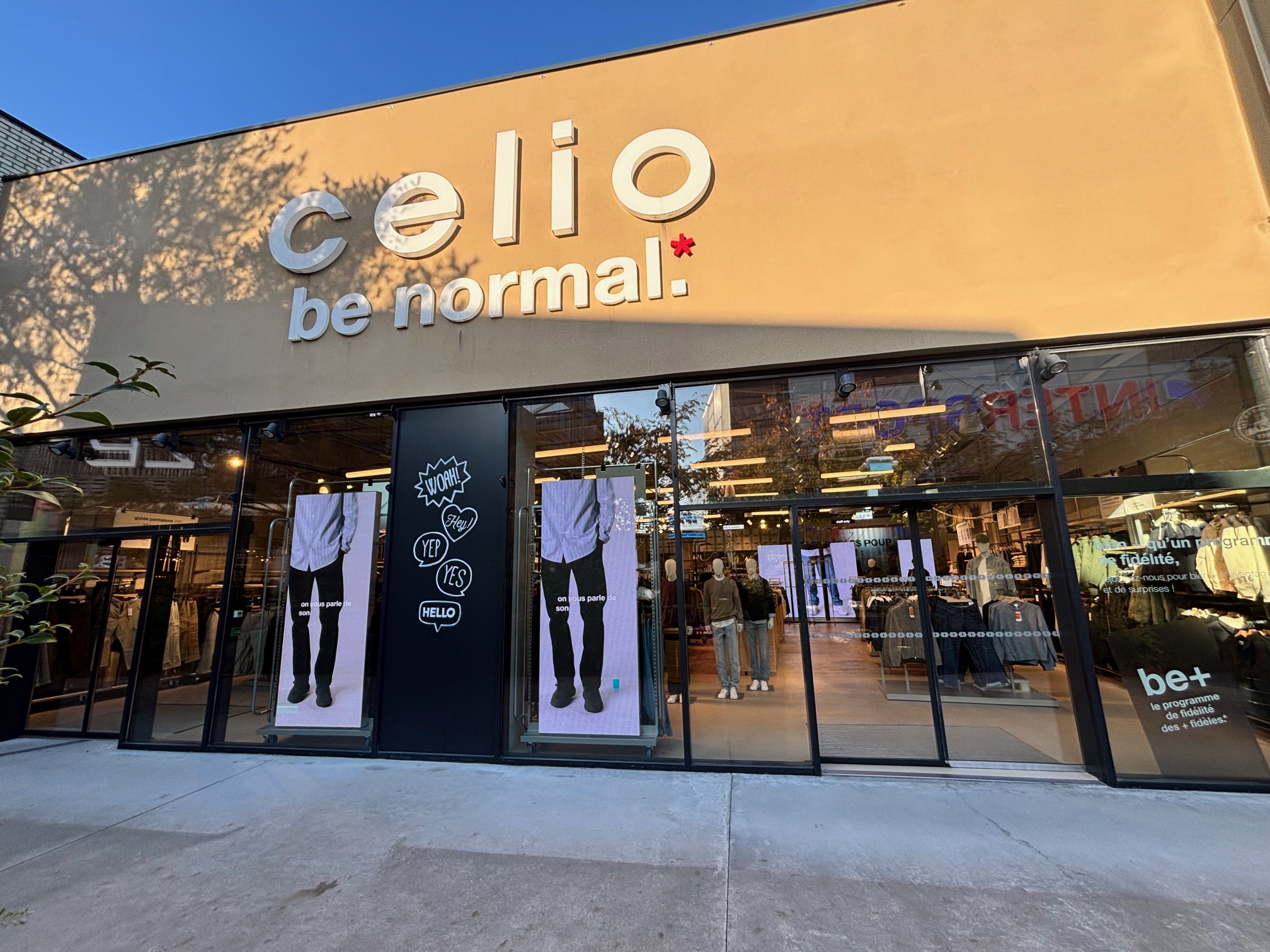 Foto 1 di celio