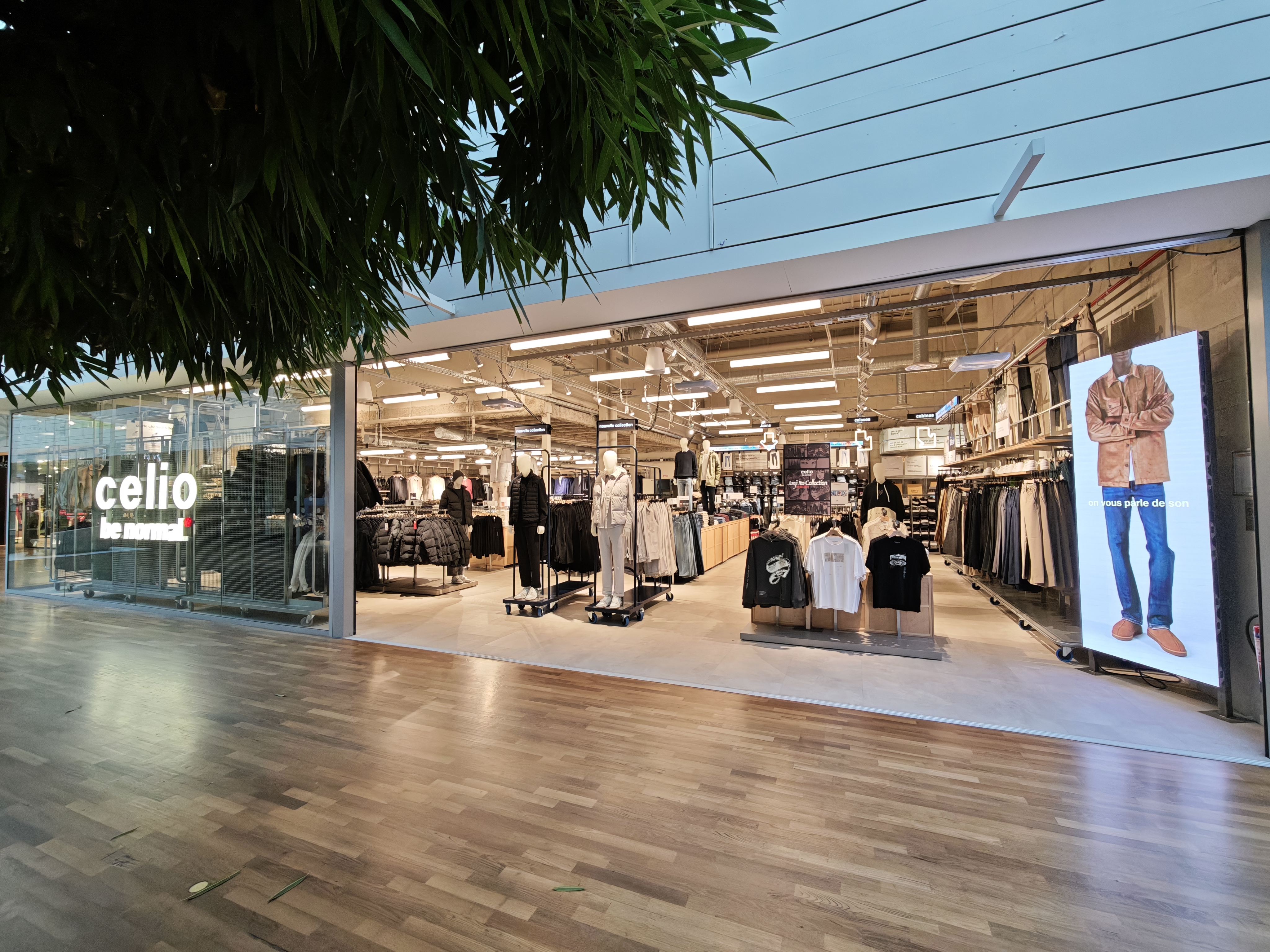 Foto 4 di celio