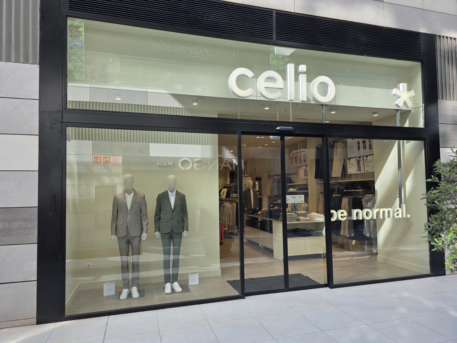 Foto 2 di celio