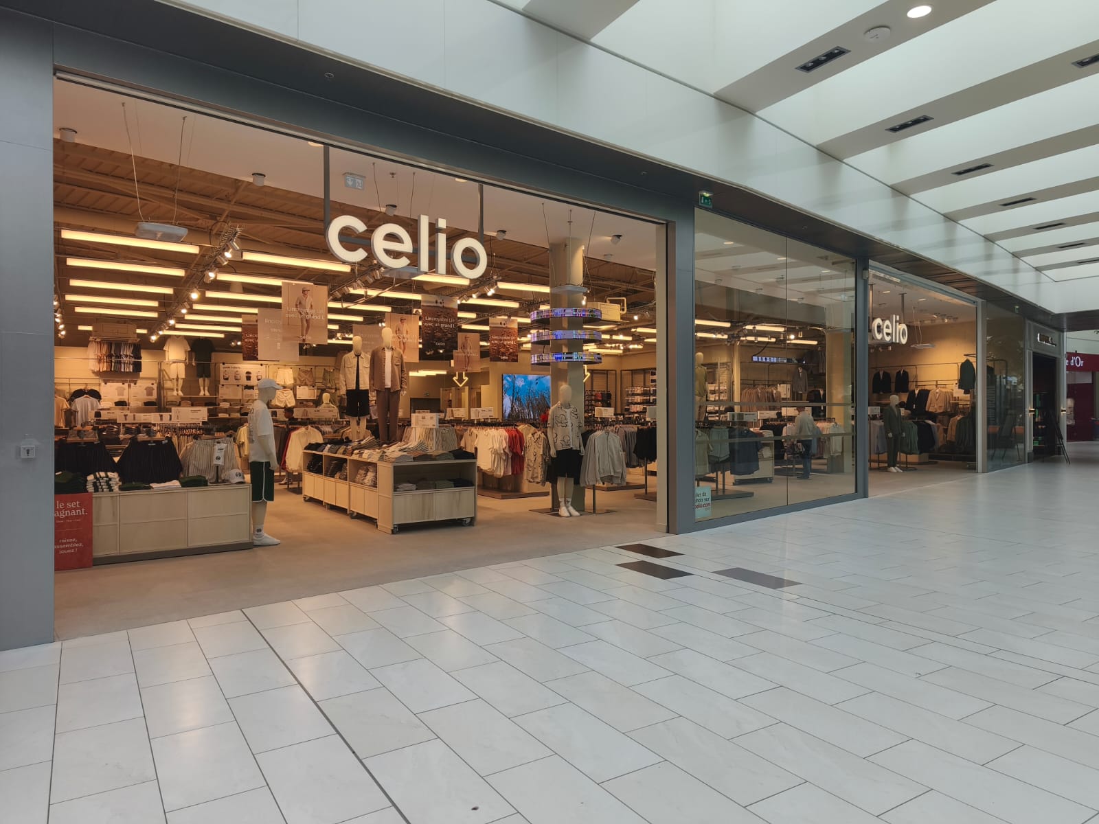Foto 4 di celio