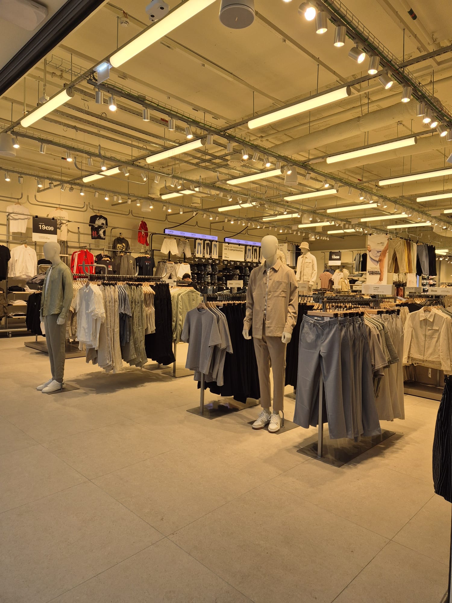 Foto 2 di celio