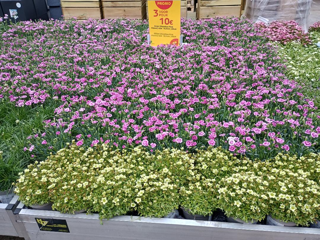 Foto 18 di Brico Drogenbos