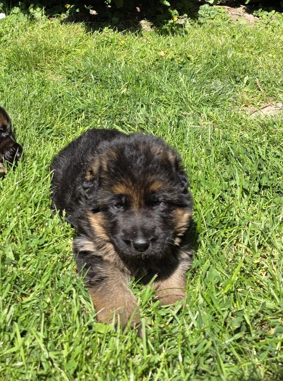 Foto 135 di De Quezac