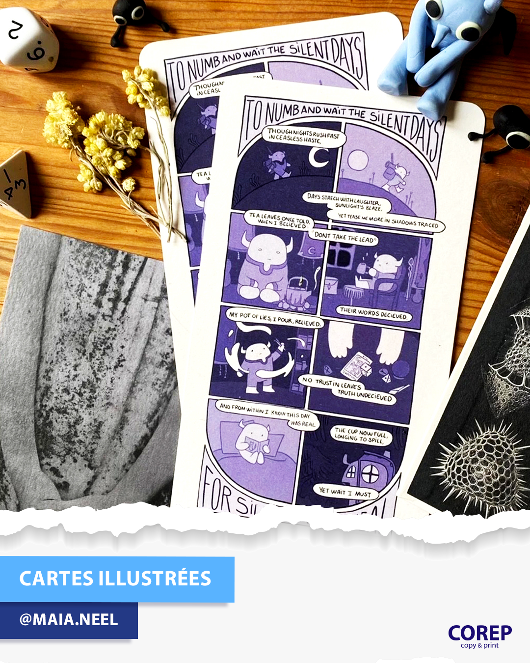 Foto 60 de Corep