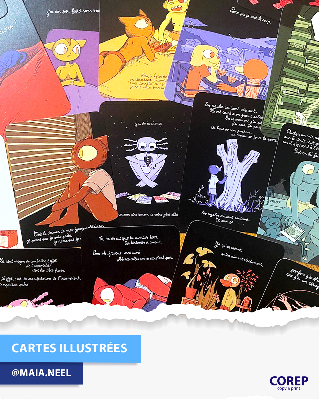 Foto 68 de Corep
