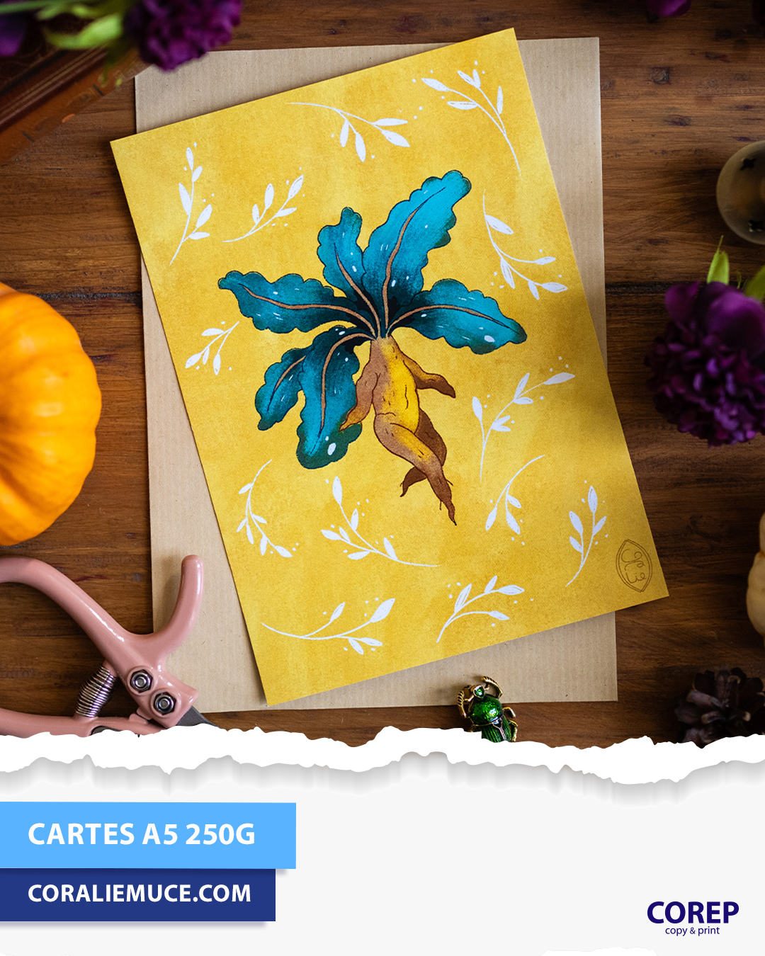 Foto 47 de Corep