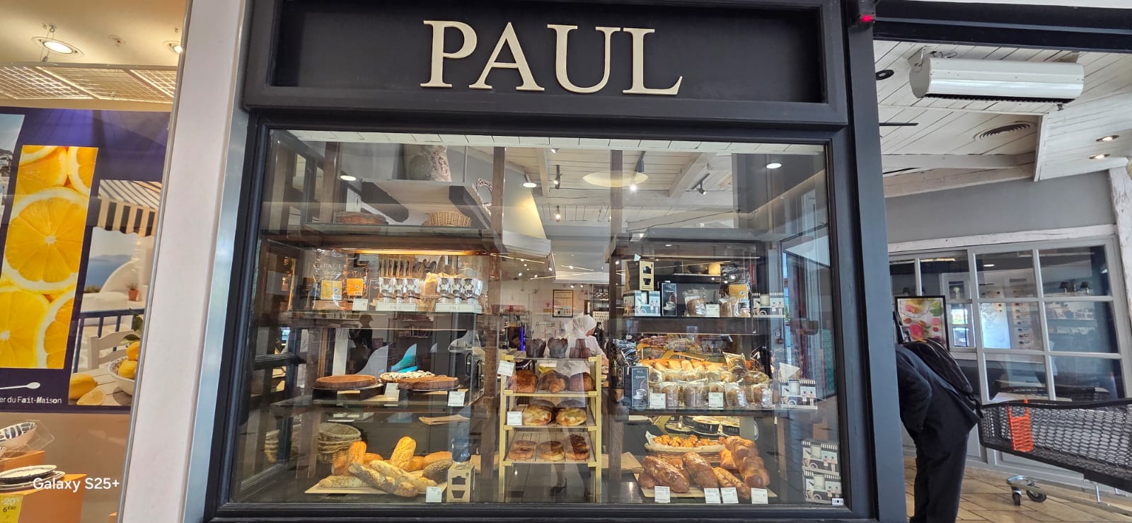 Foto 4 di PAUL