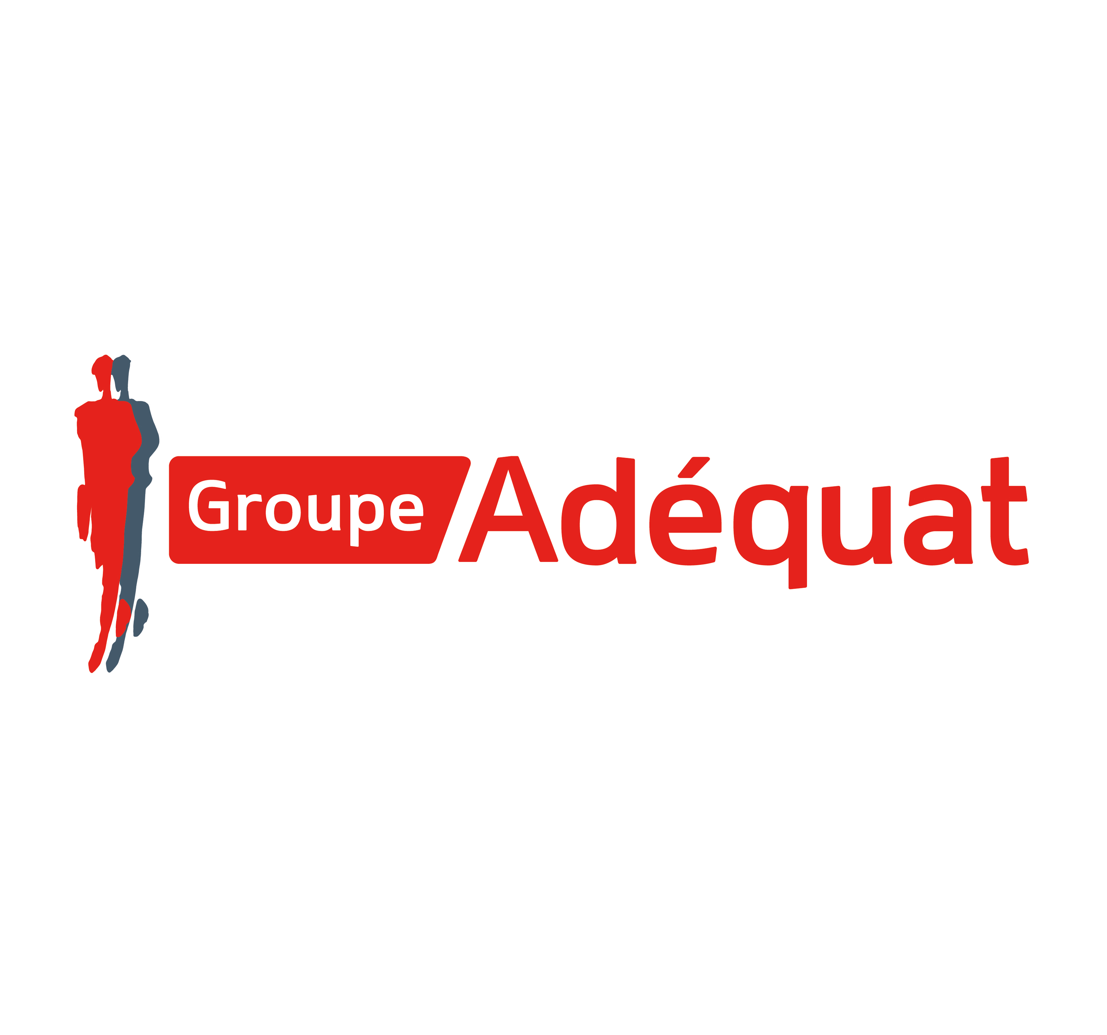 Foto 4 di Groupe Adéquat
