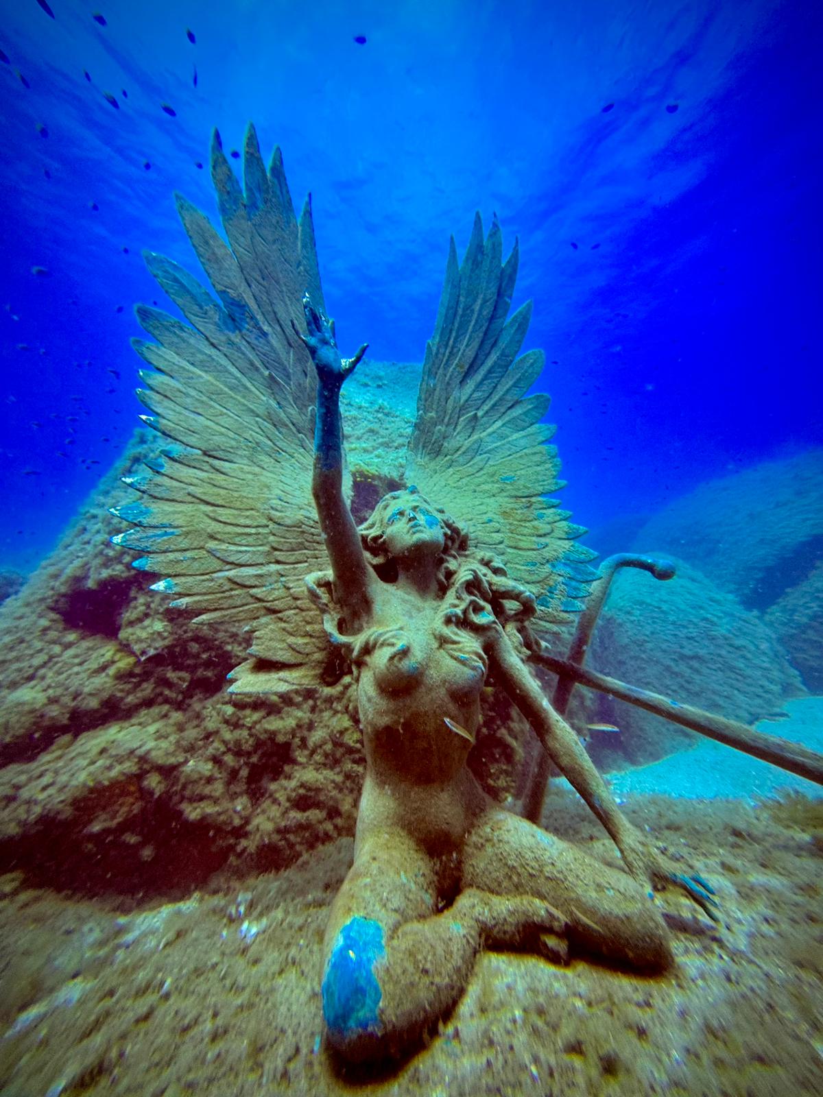 Fotografia 97 de Pollo Diving Asd