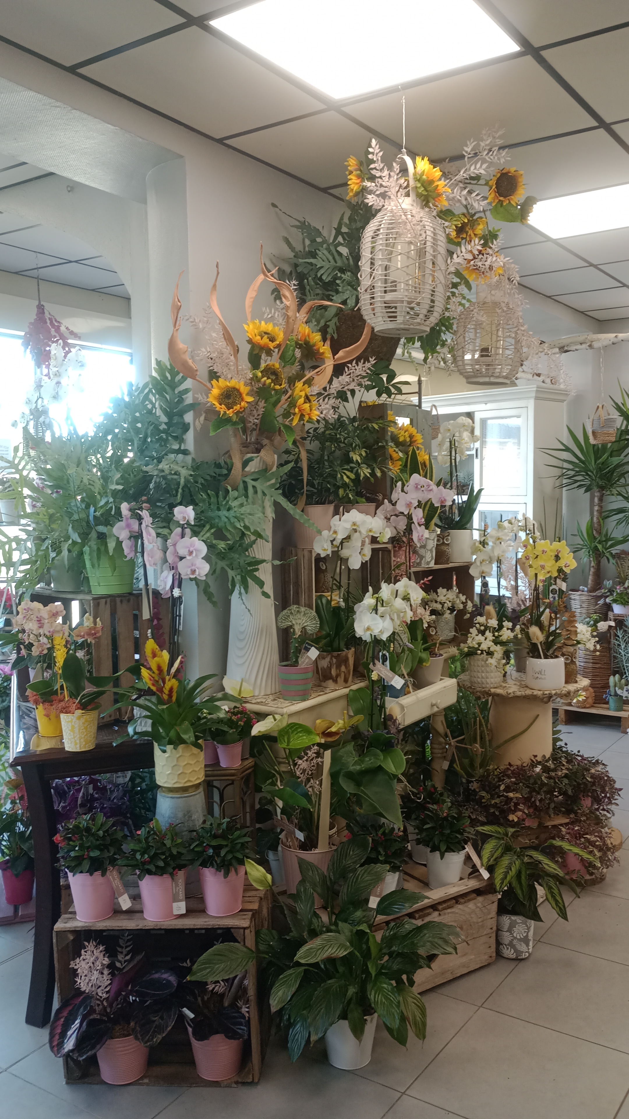 Foto 58 di Maison Touchard - Fleuriste