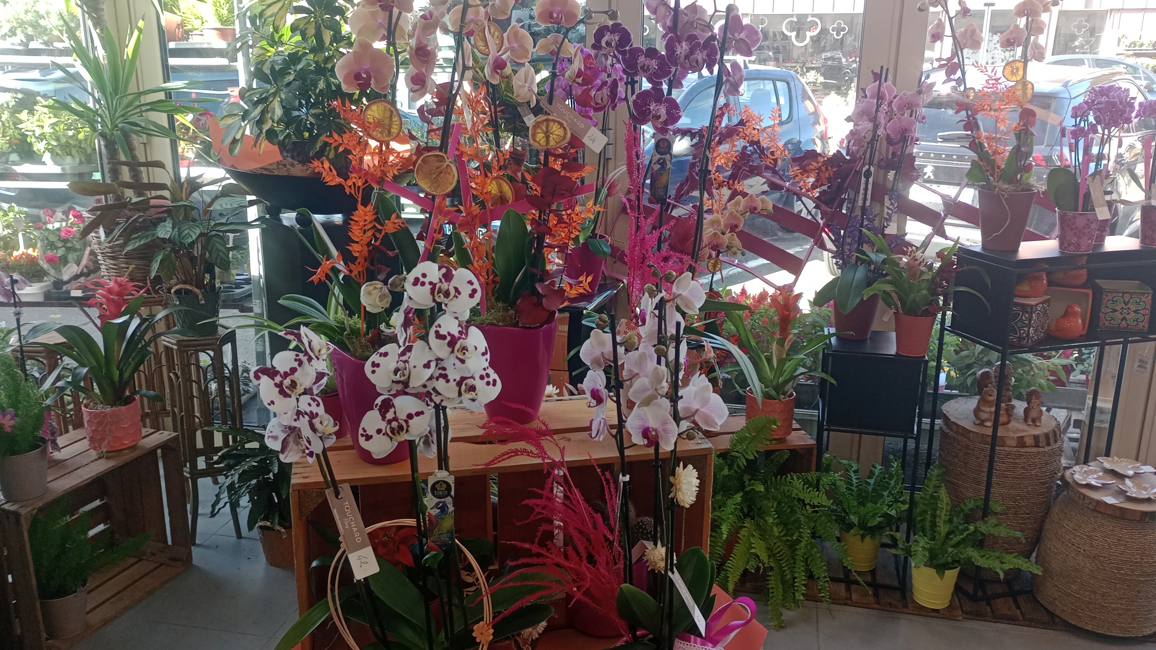 Foto 59 di Maison Touchard - Fleuriste