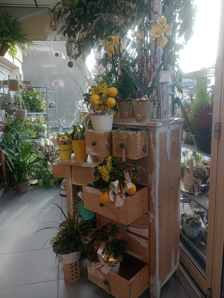 Foto 71 di Maison Touchard - Fleuriste