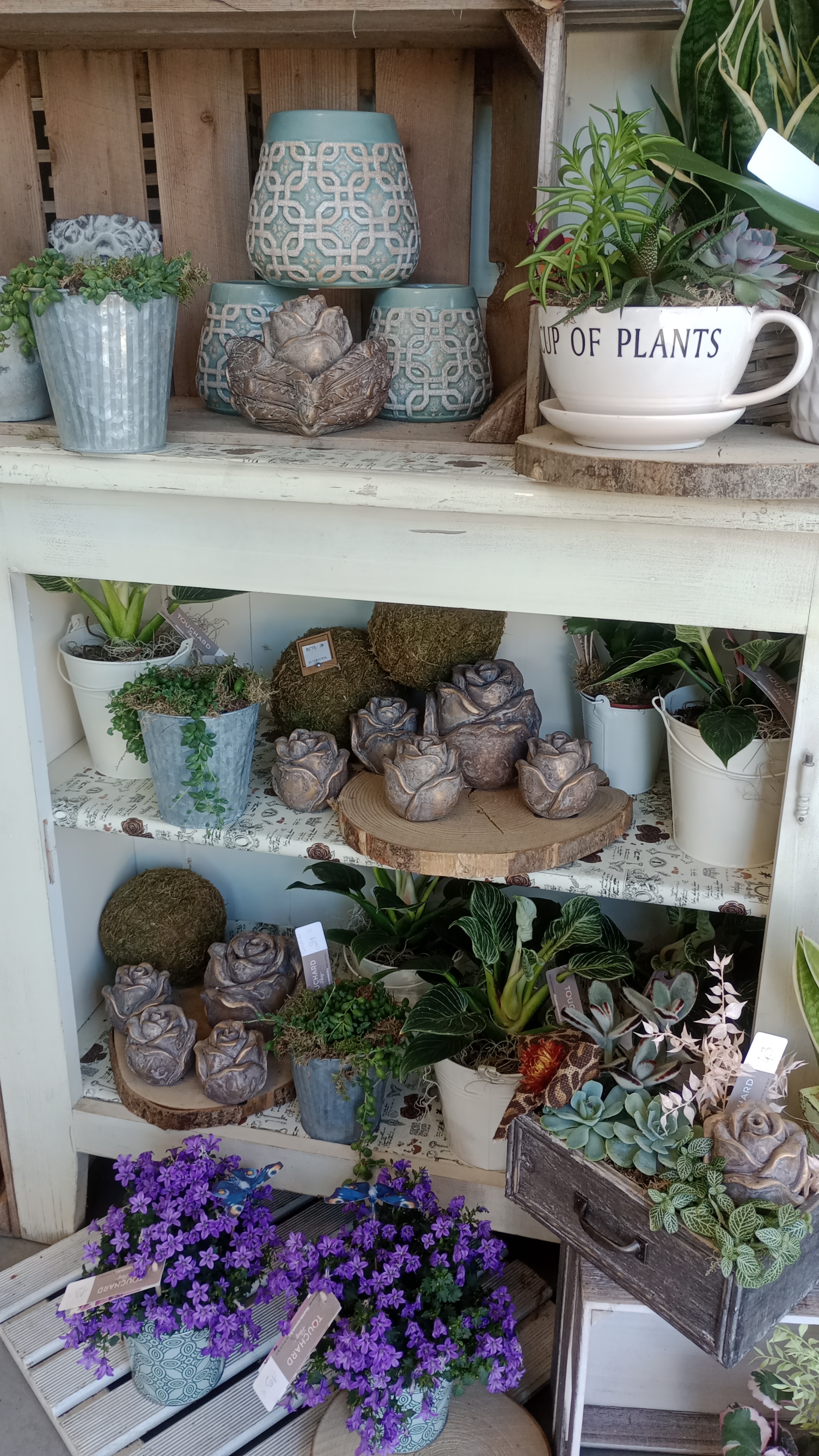 Foto 52 di Maison Touchard - Fleuriste