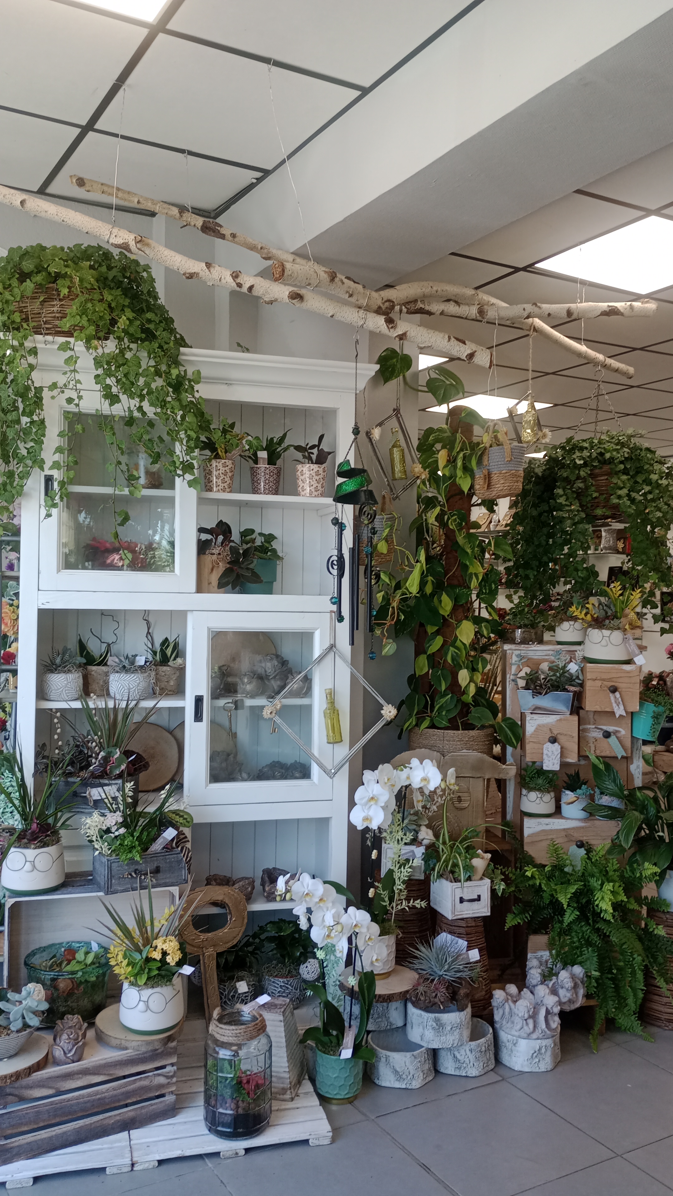 Foto 50 di Maison Touchard - Fleuriste