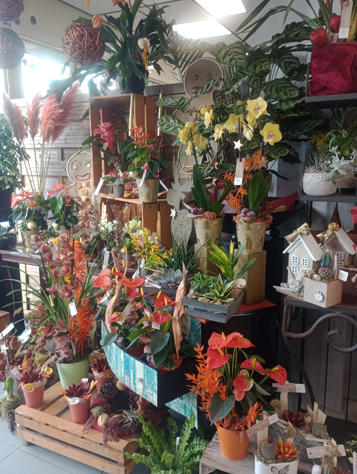 Foto 75 di Maison Touchard - Fleuriste