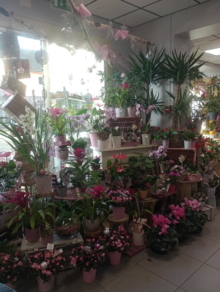 Foto 64 di Maison Touchard - Fleuriste