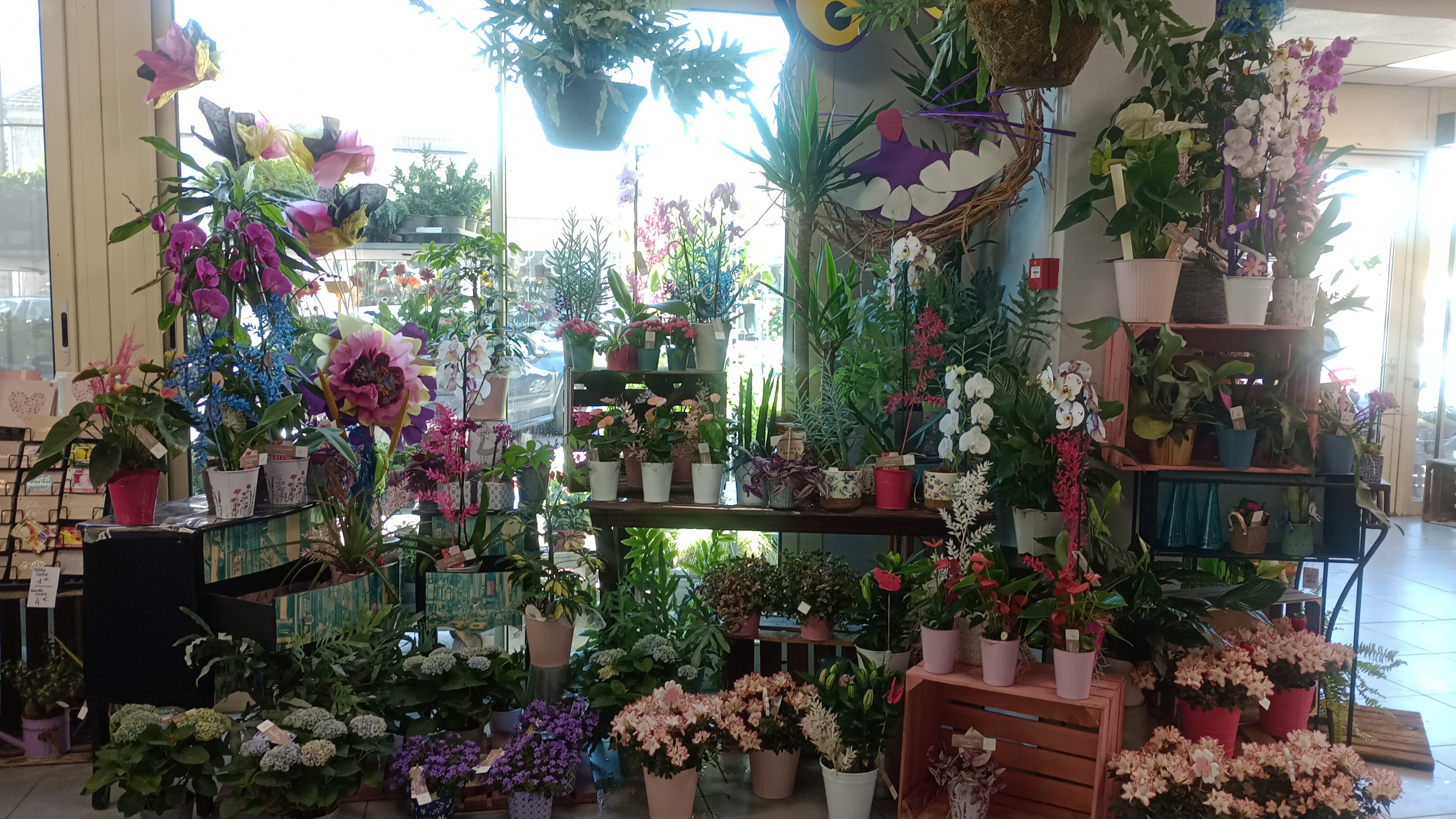 Foto 48 di Maison Touchard - Fleuriste