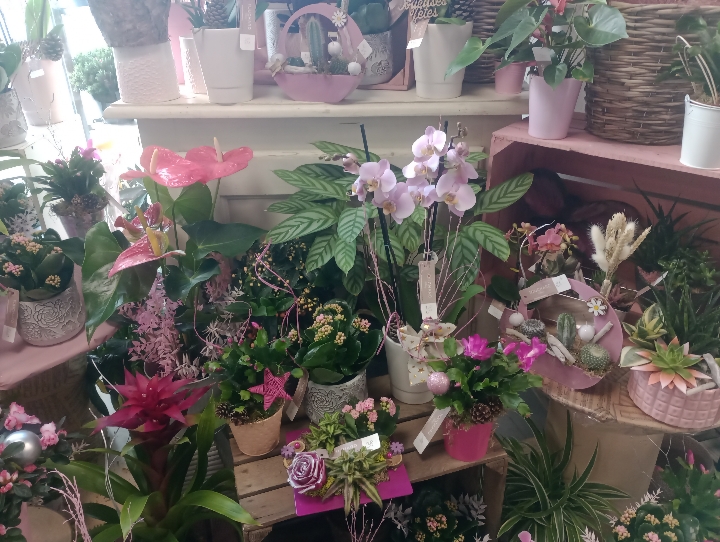 Foto 65 di Maison Touchard - Fleuriste