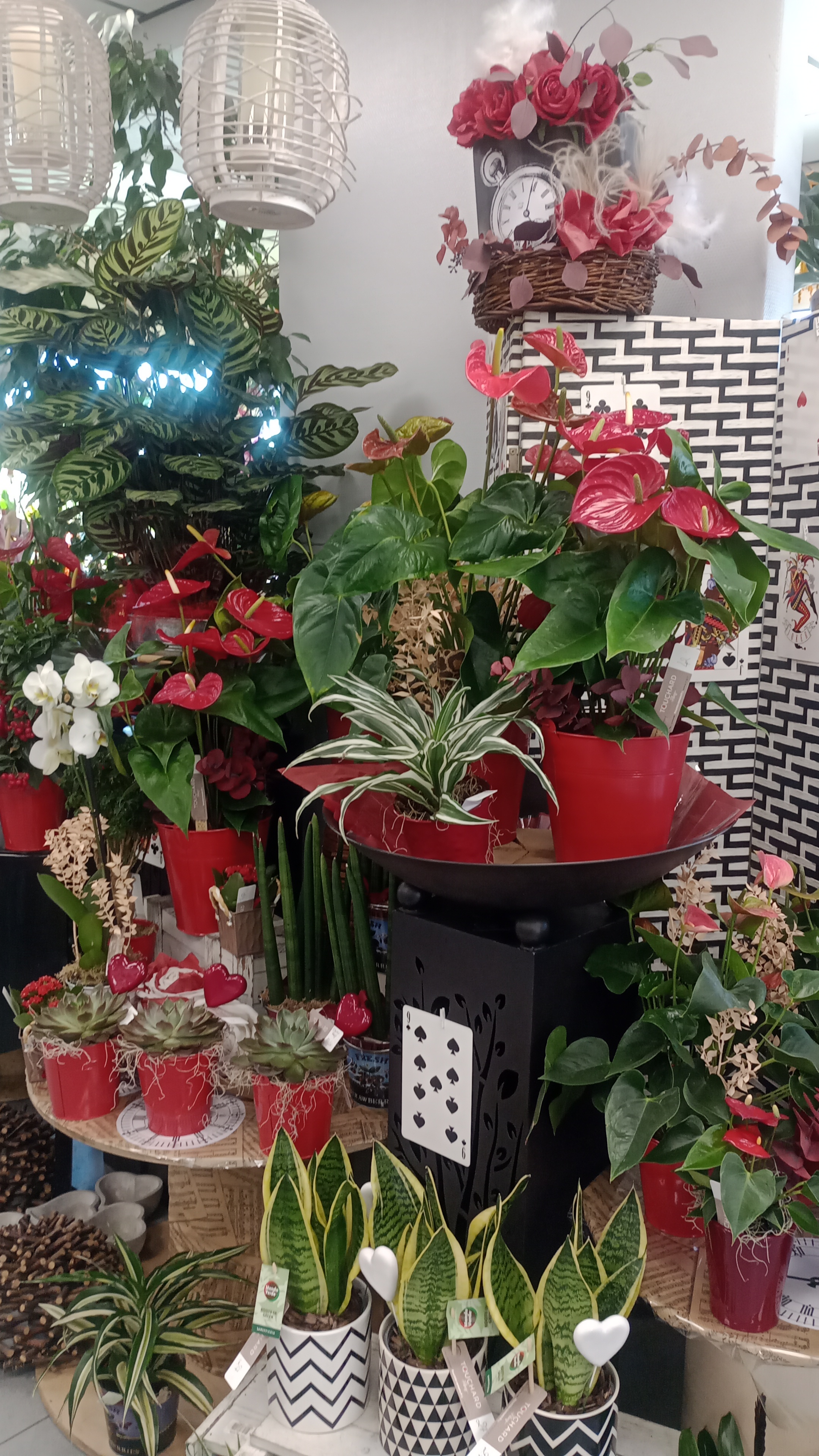 Foto 47 di Maison Touchard - Fleuriste