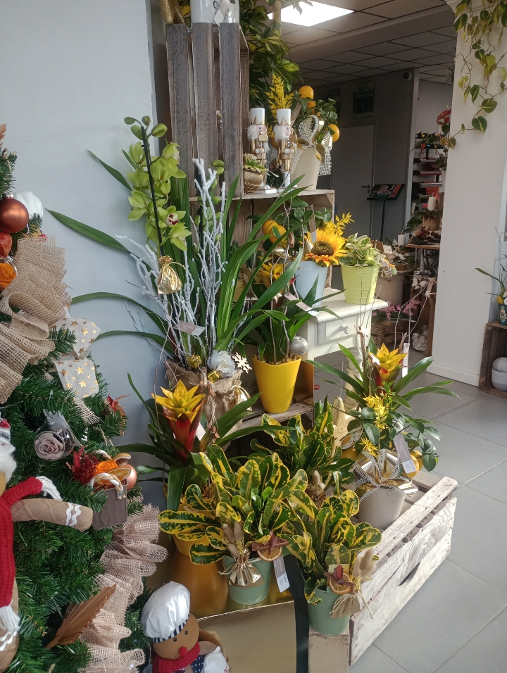 Foto 70 di Maison Touchard - Fleuriste