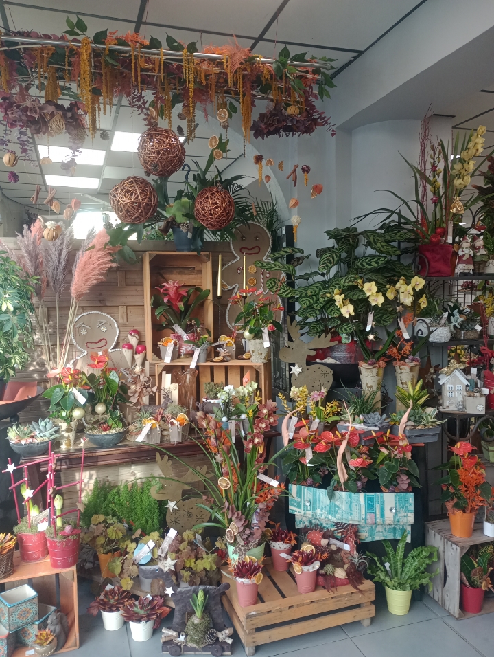Foto 68 di Maison Touchard - Fleuriste