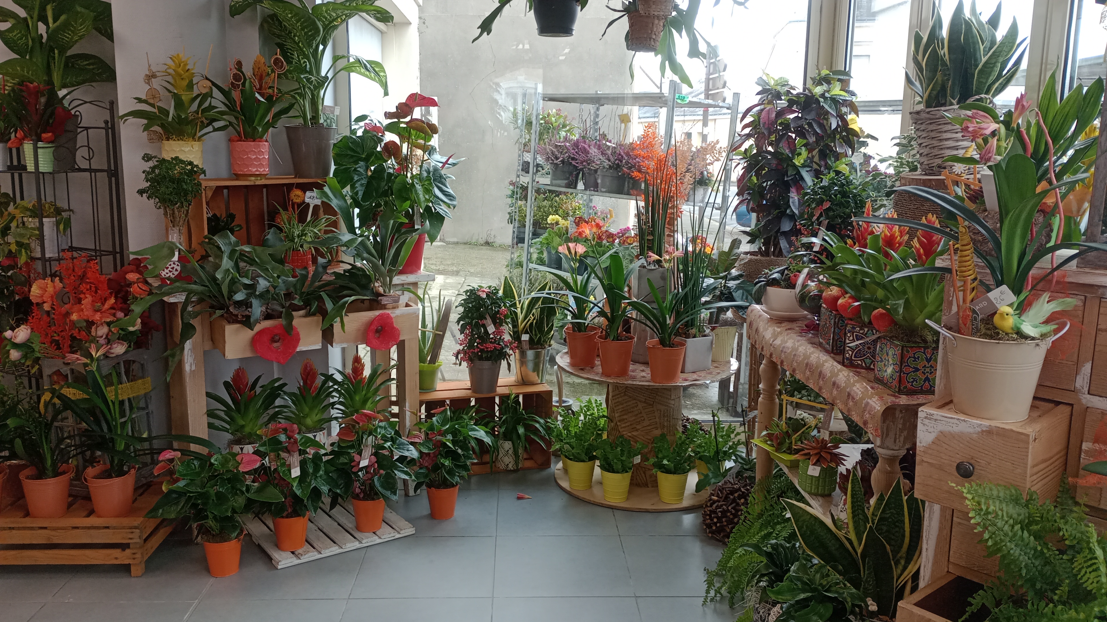 Foto 30 di Maison Touchard - Fleuriste