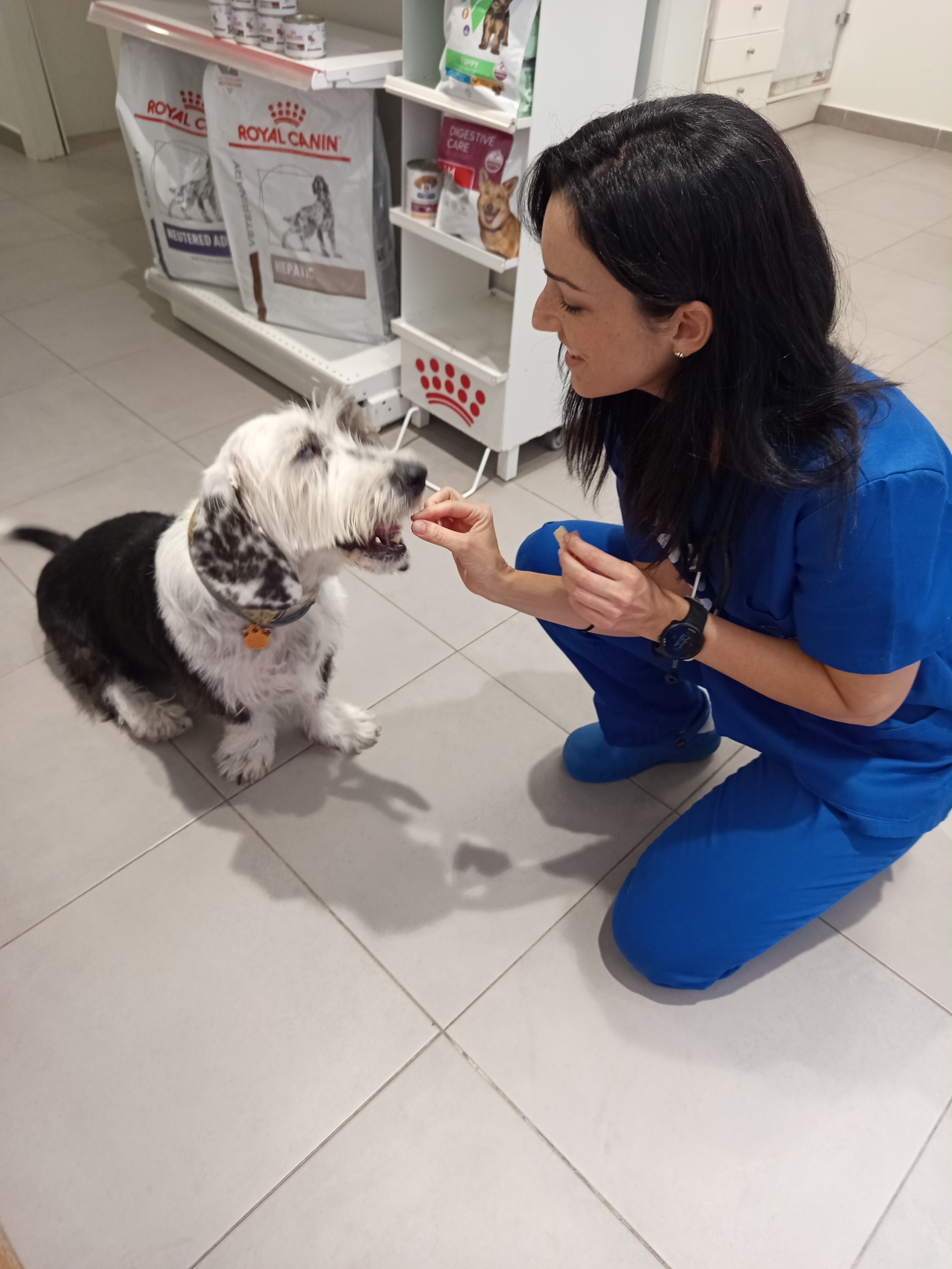 Foto 15 di Clinicanimal