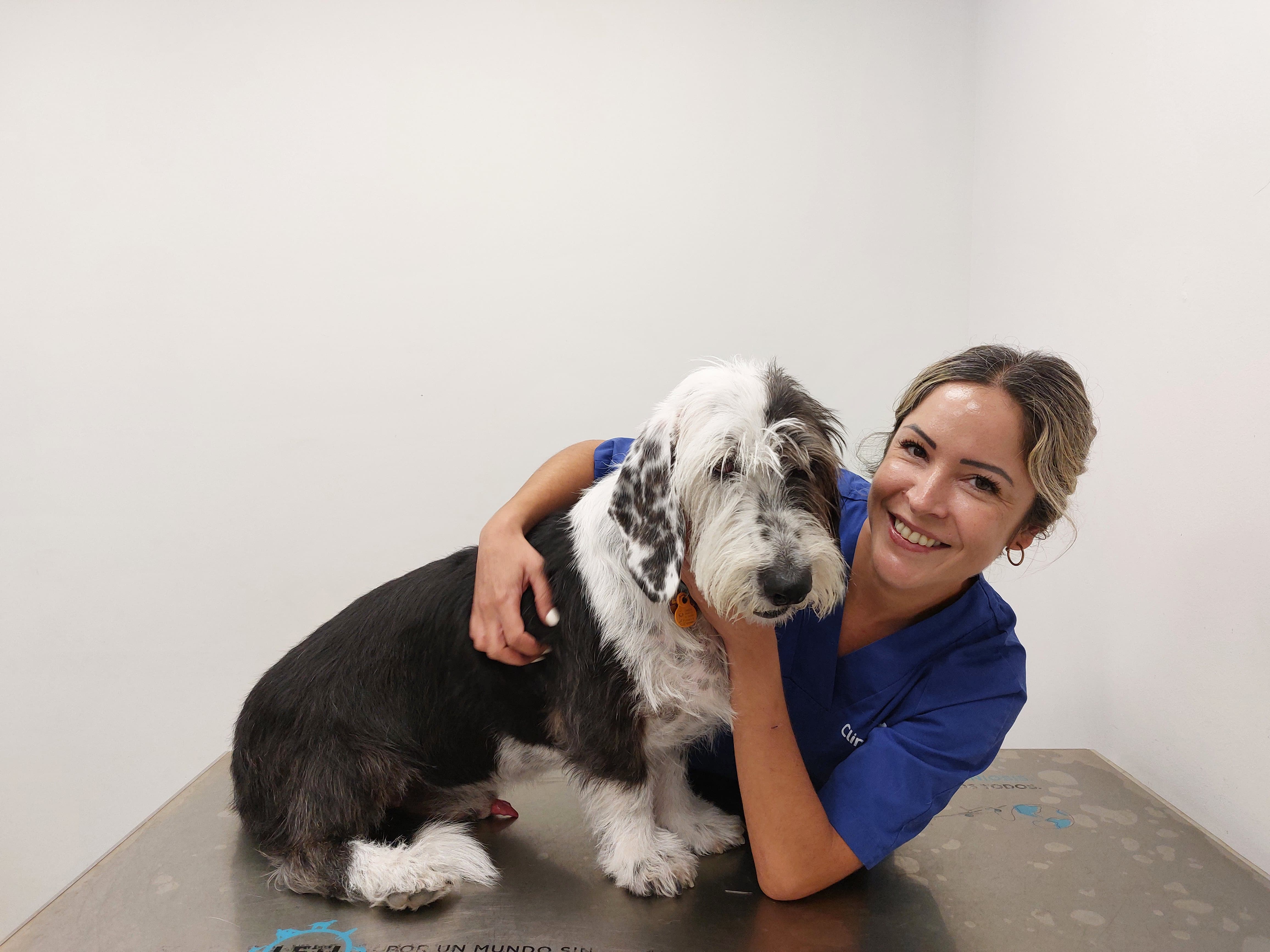 Foto 13 di Clinicanimal