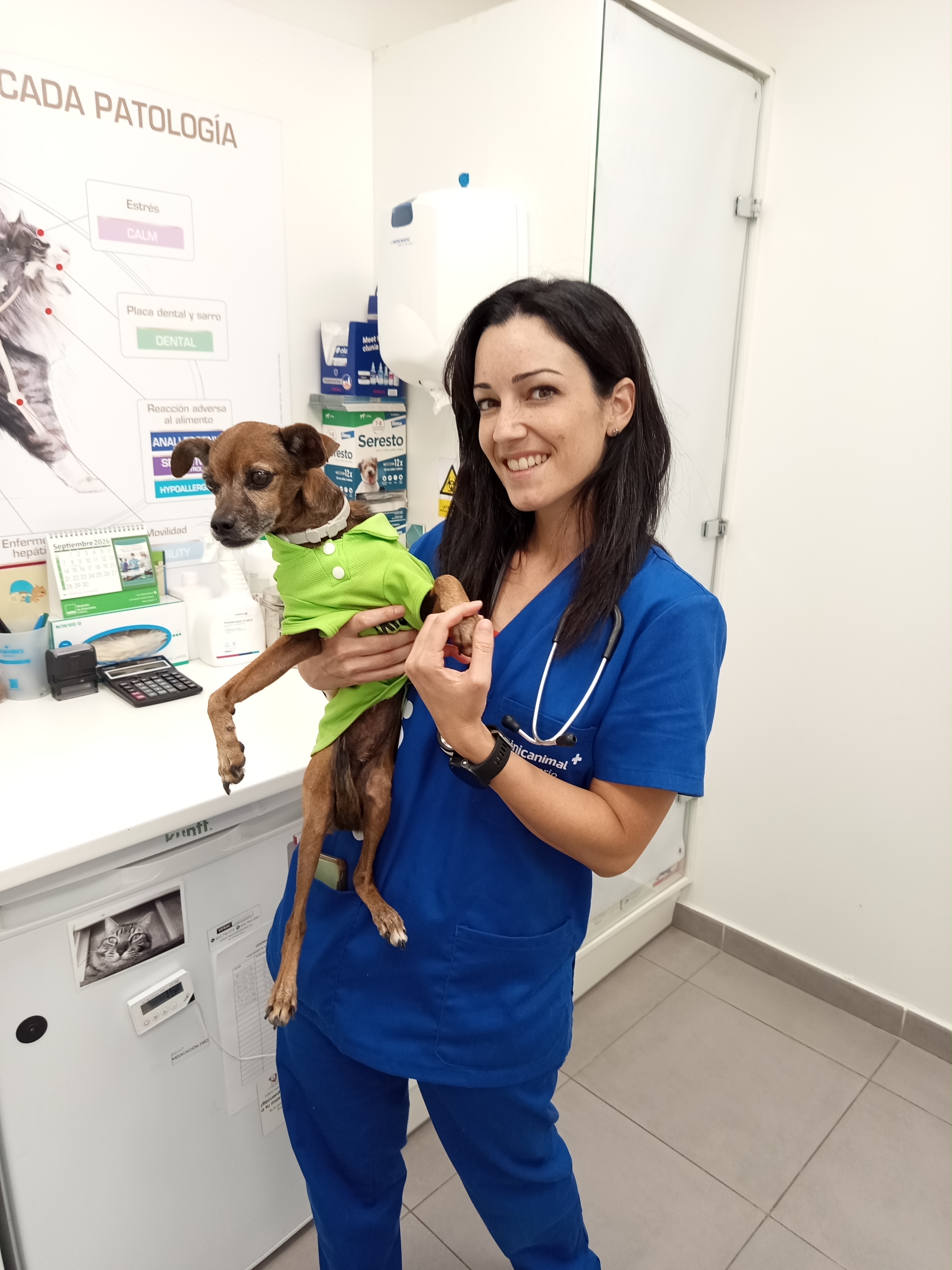 Foto 16 di Clinicanimal