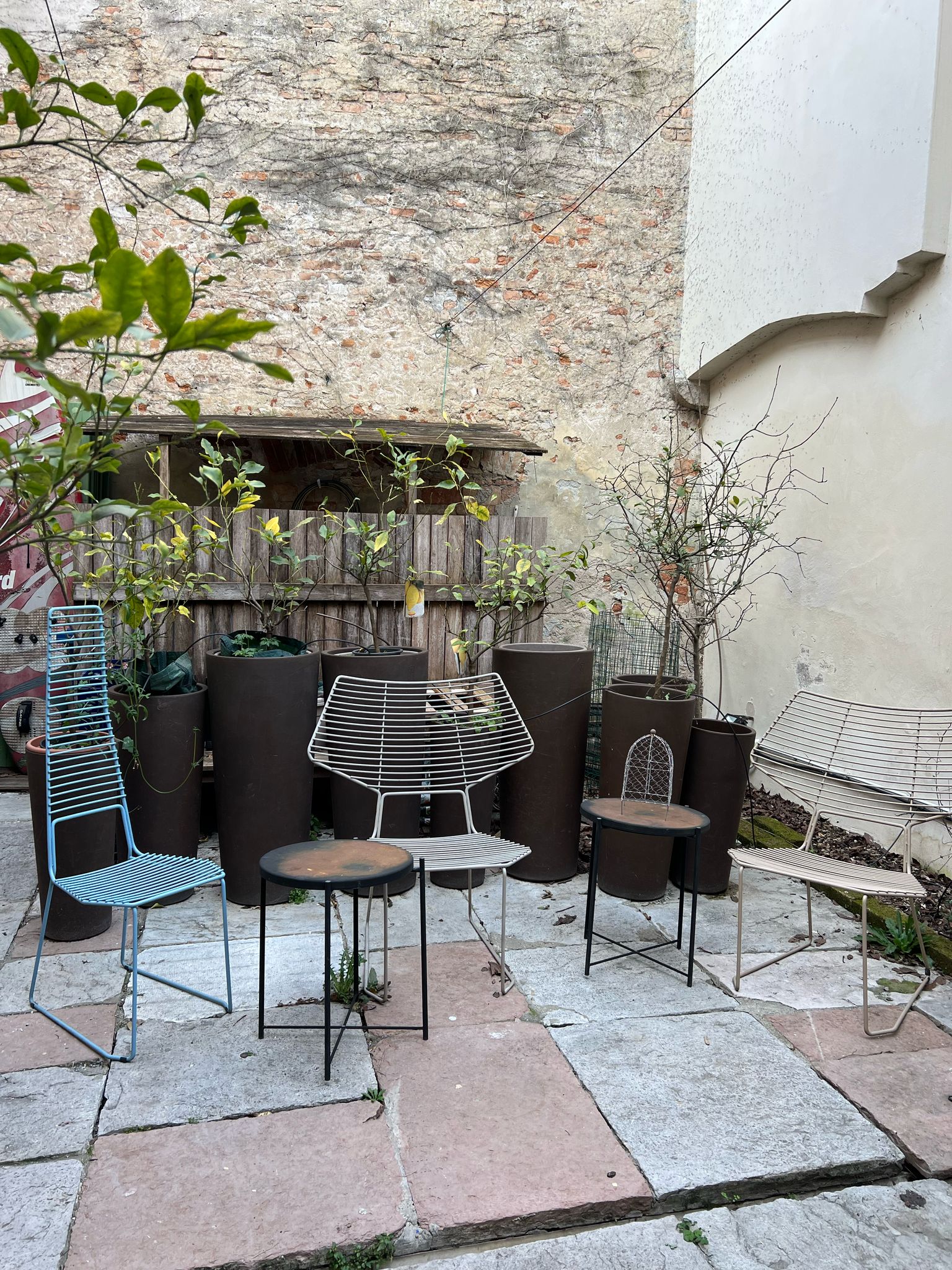Foto 22 di 11 Treviso