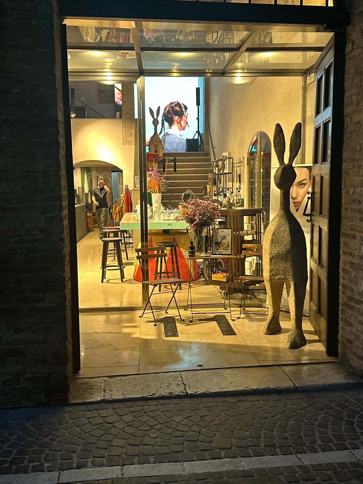Foto 7 di 11 Treviso