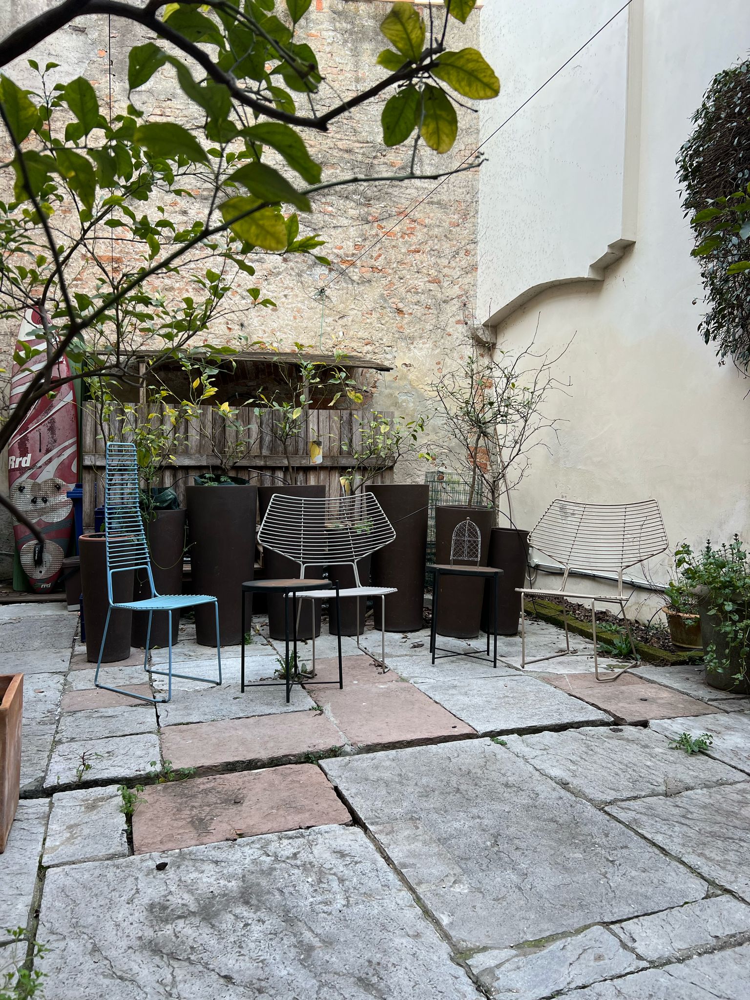 Foto 23 di 11 Treviso