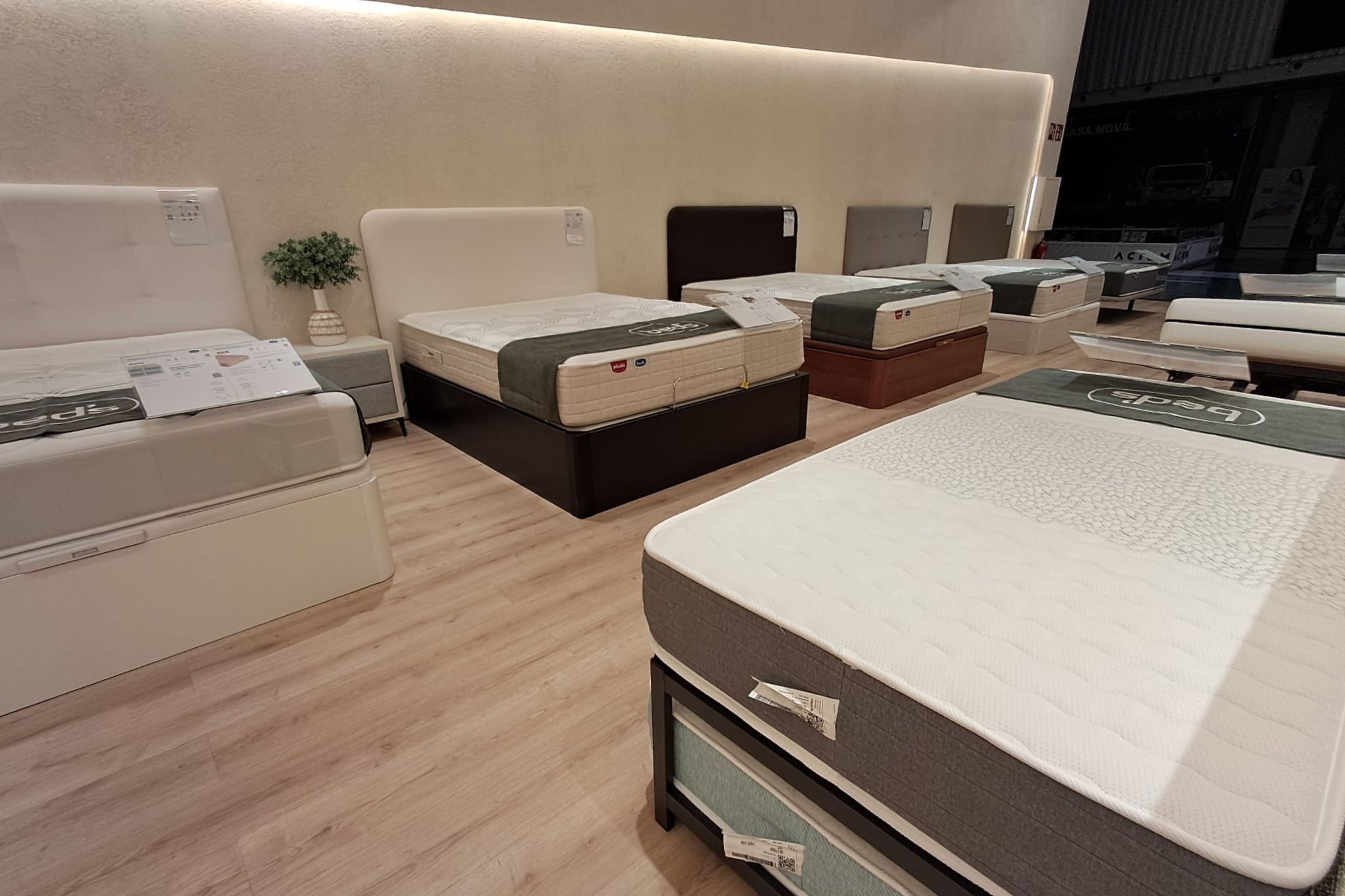 Foto 2 di Bedland
