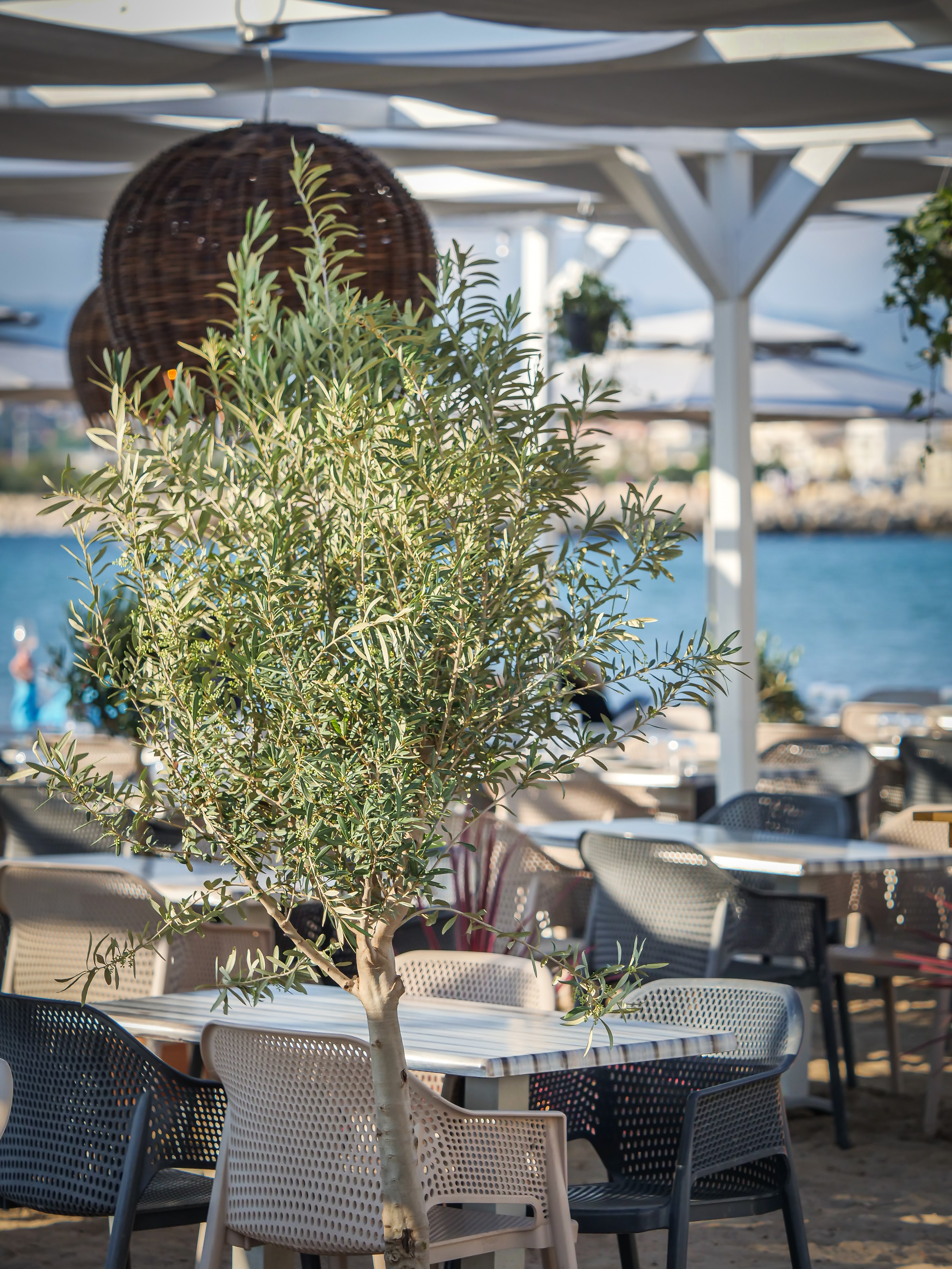 Photo 4 of ROUGE et ROCHE - Restaurant Traditionnel Vue Mer Marseille