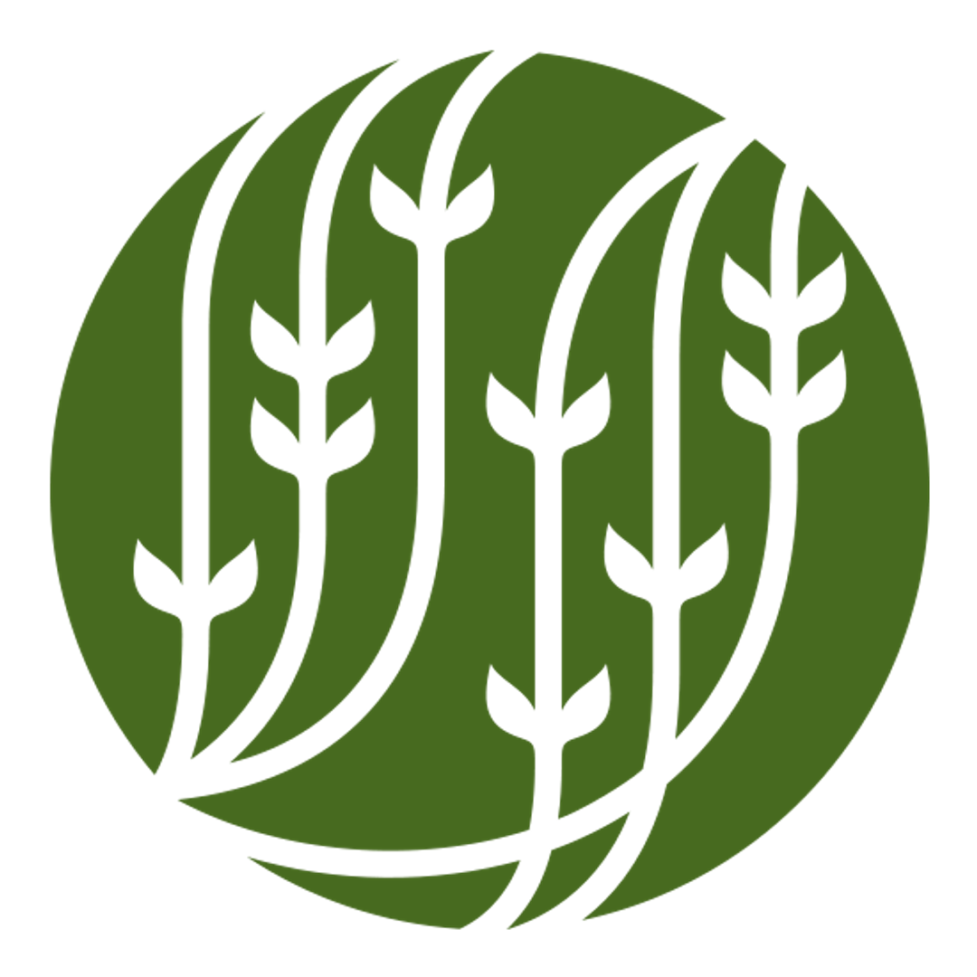 Place around image